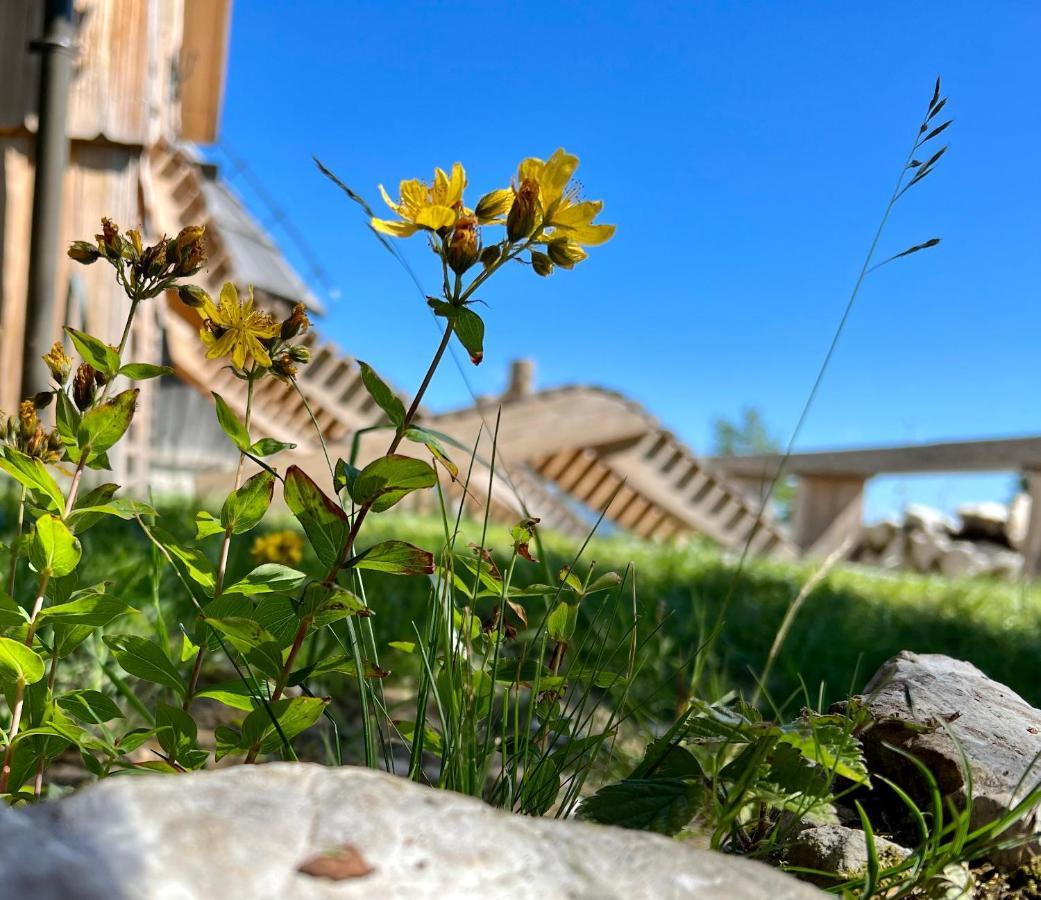 Chalet Velika Planina - I Feel Alps Stahovica Exterior foto